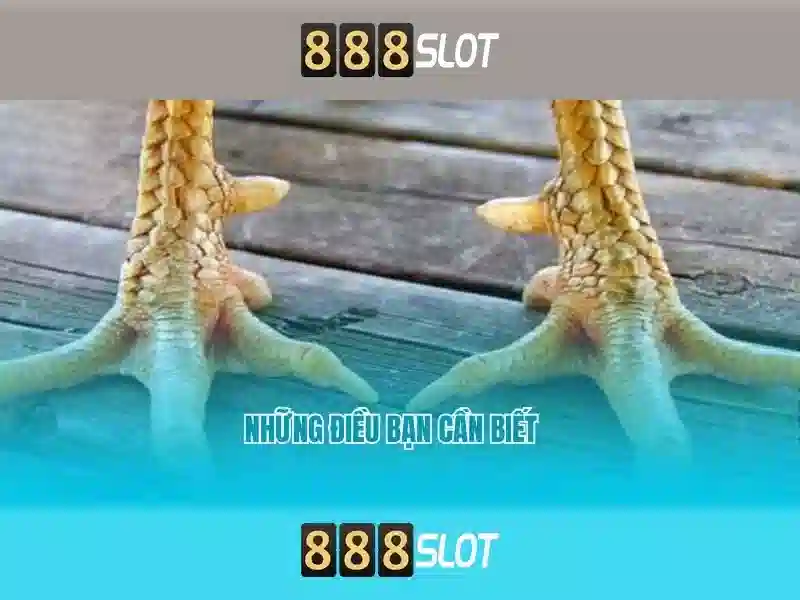 888slot - Đánh giá và Trải nghiệm