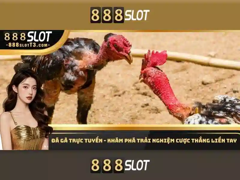 Kết luận và mẹo chơi