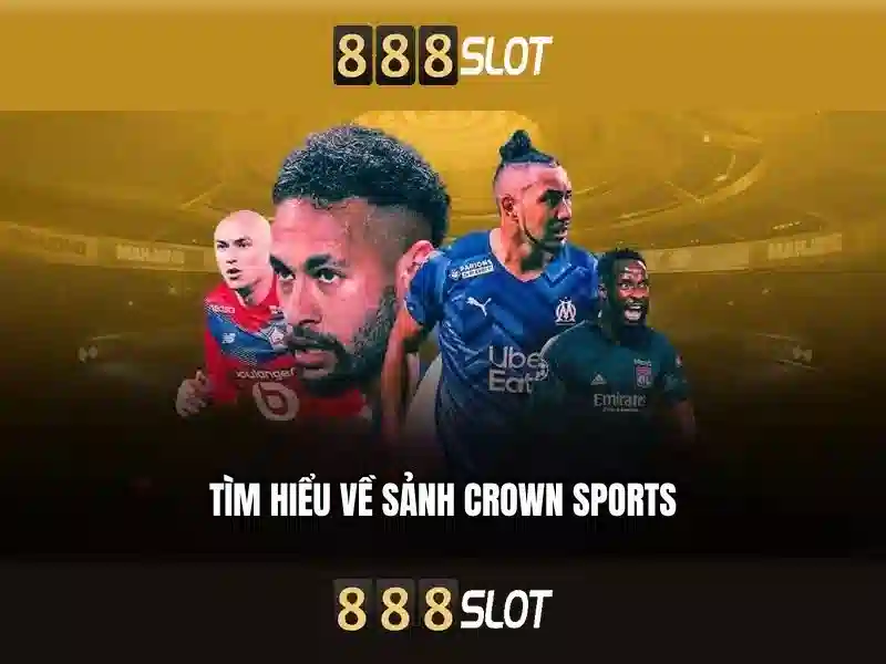 An toàn và hỗ trợ người chơi