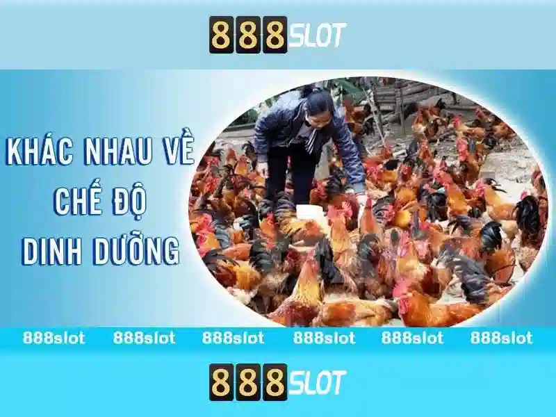 888slot: Đánh giá nền tảng chơi slot trực tuyến uy tín