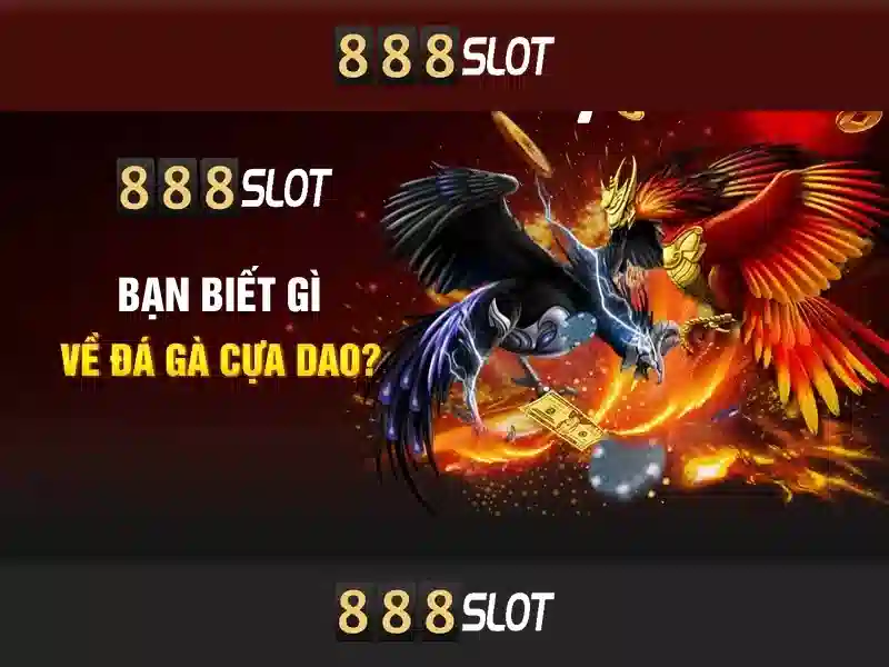 Khuyến mãi và bảo mật