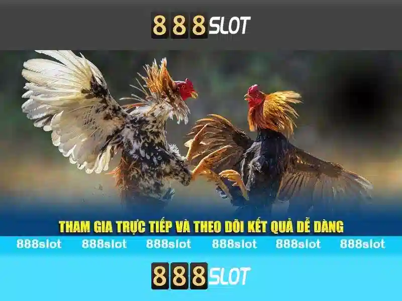 888slot: Khám phá nền tảng slot trực tuyến phổ biến