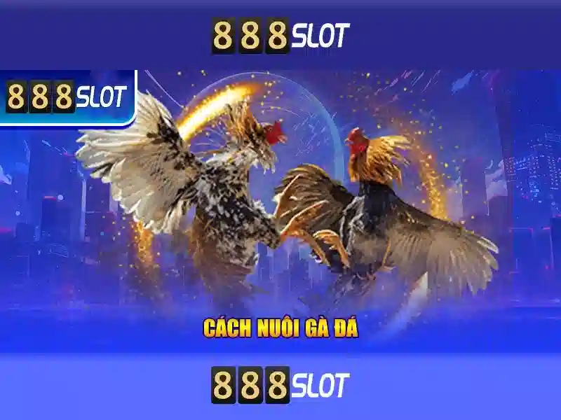 888Slot – Đánh giá và trải nghiệm chơi slot trực tuyến