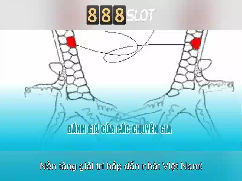 Duy trì an toàn và thanh toán