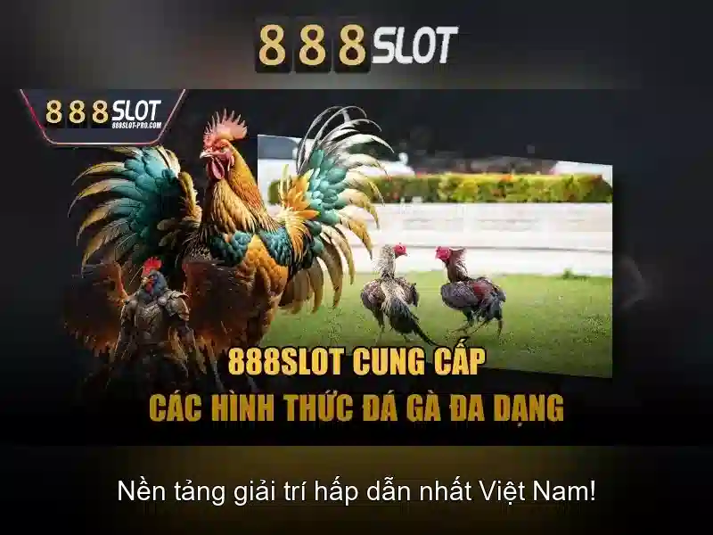 Sản phẩm và dịch vụ của dana slot 888