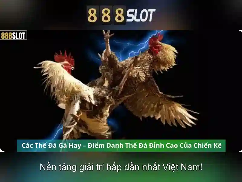 Tính bảo mật và thanh toán