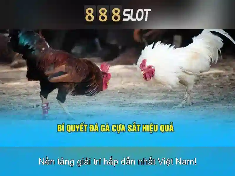 Đa dạng trò chơi và các tính năng tiện ích