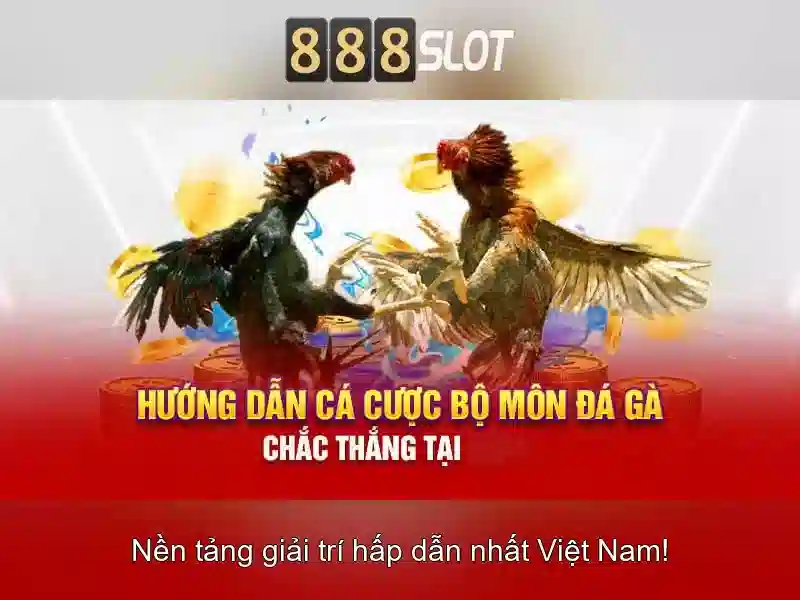 Khuyến mãi và chương trình thưởng