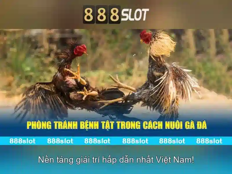 Giới thiệu về 888slot