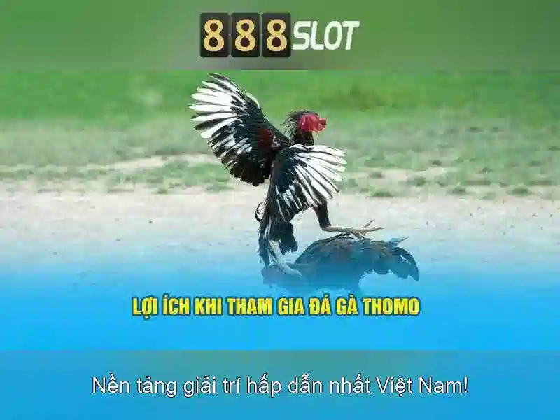 mi 888 slot – tổng quan chủ đề và giá trị cốt lõi