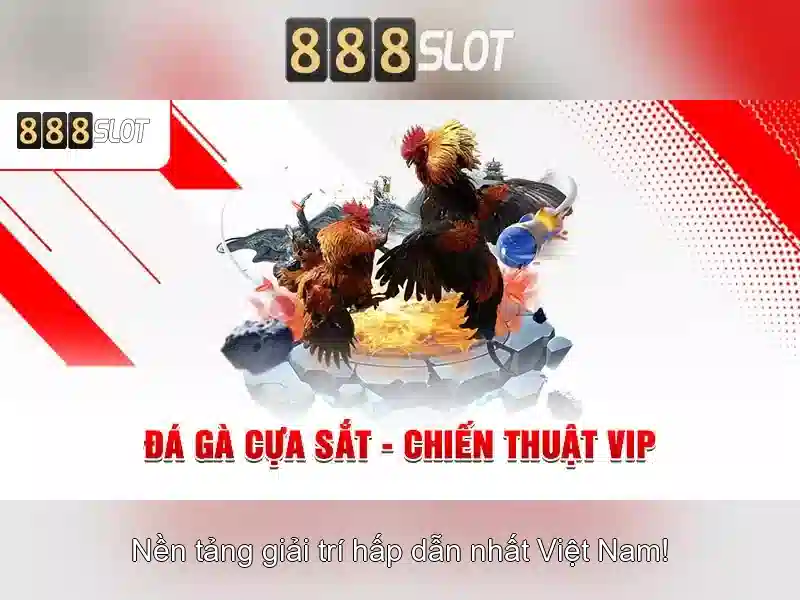Hỗ trợ khách hàng