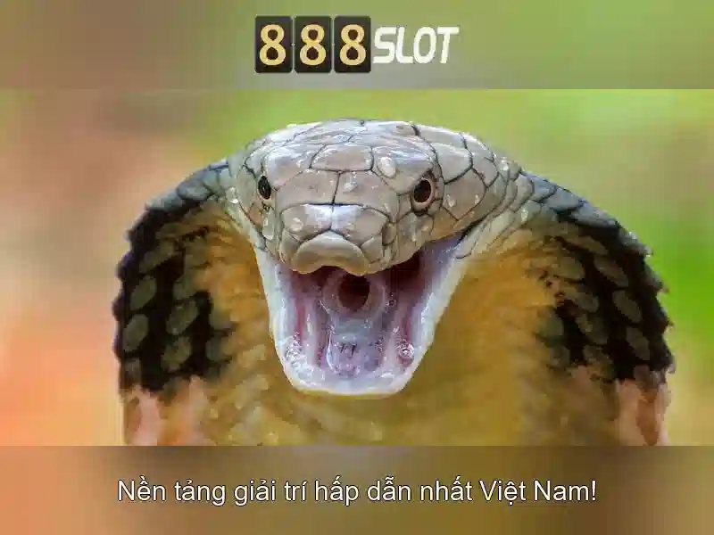 888slot - Nền tảng giải trí trực tuyến hàng đầu