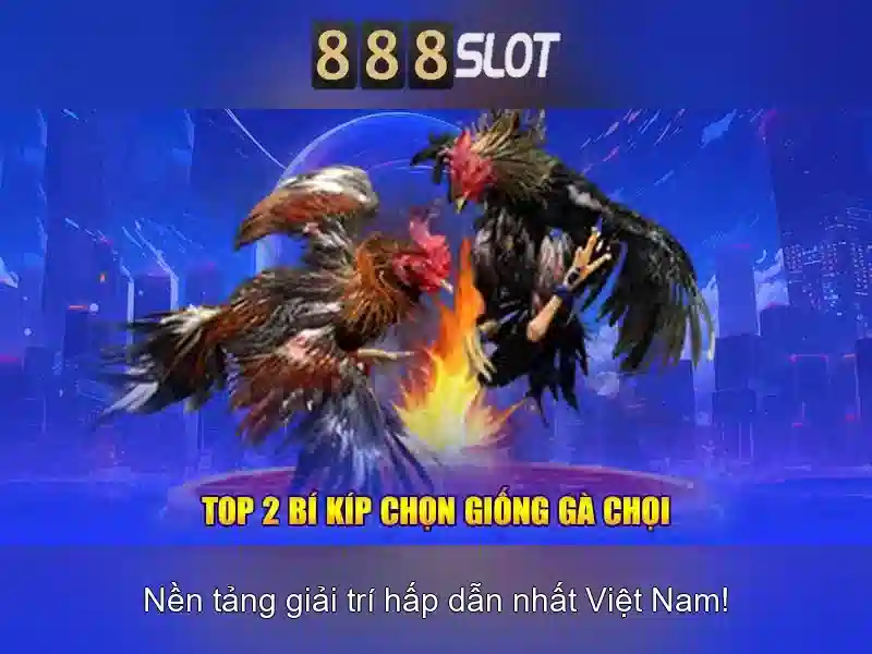 888slot: Nền tảng slot trực tuyến đáng tin cậy