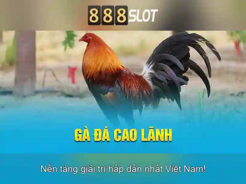 888slot là gì?